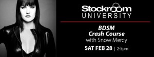 Stockroom BDSM Crash Course, Feb. 28, 2015